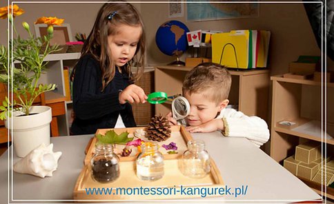 Przedszkole Montessori "Kangurek"